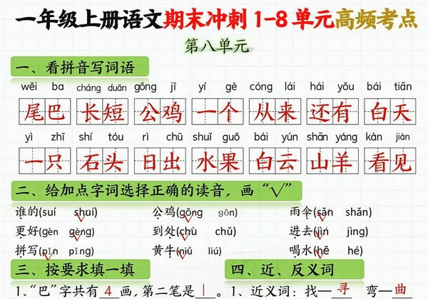 图片[5]-一年级语文上册期末冲刺1-8单元高频考点，16页PDF电子版-淘学学资料库