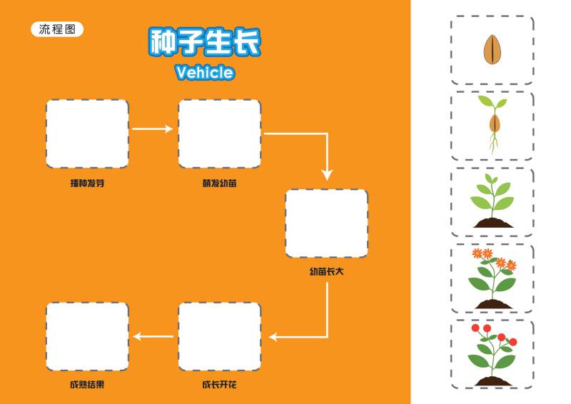 图片[4]-儿童思维导图-淘学学资料库