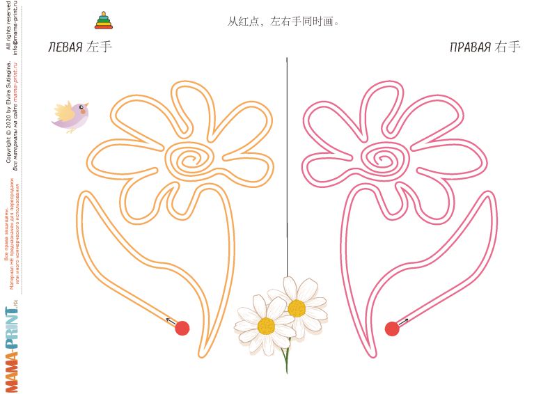 图片[3]-左右手对称练习，控笔训练有助于左右脑开发，素材可打印-淘学学资料库