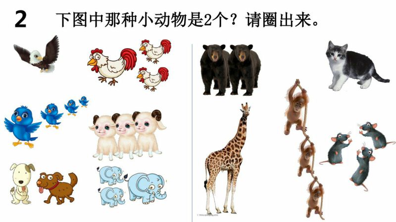 图片[2]-幼儿小小班连线游戏，PDF可打印-淘学学资料库