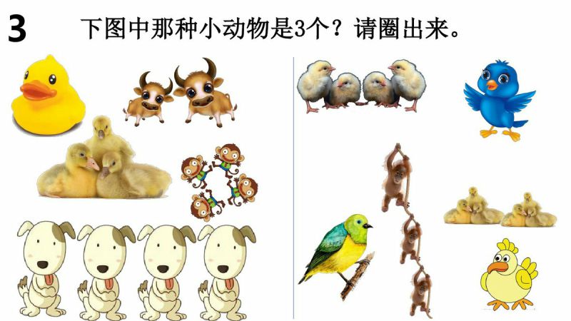 图片[3]-幼儿小小班连线游戏，PDF可打印-淘学学资料库