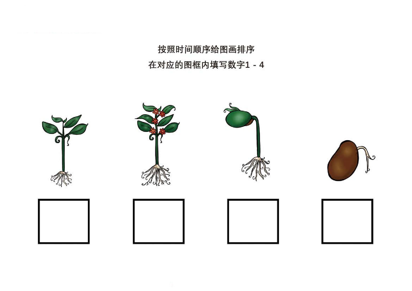 图片[3]-按照时间顺序给图画排序，8页PDF-淘学学资料库