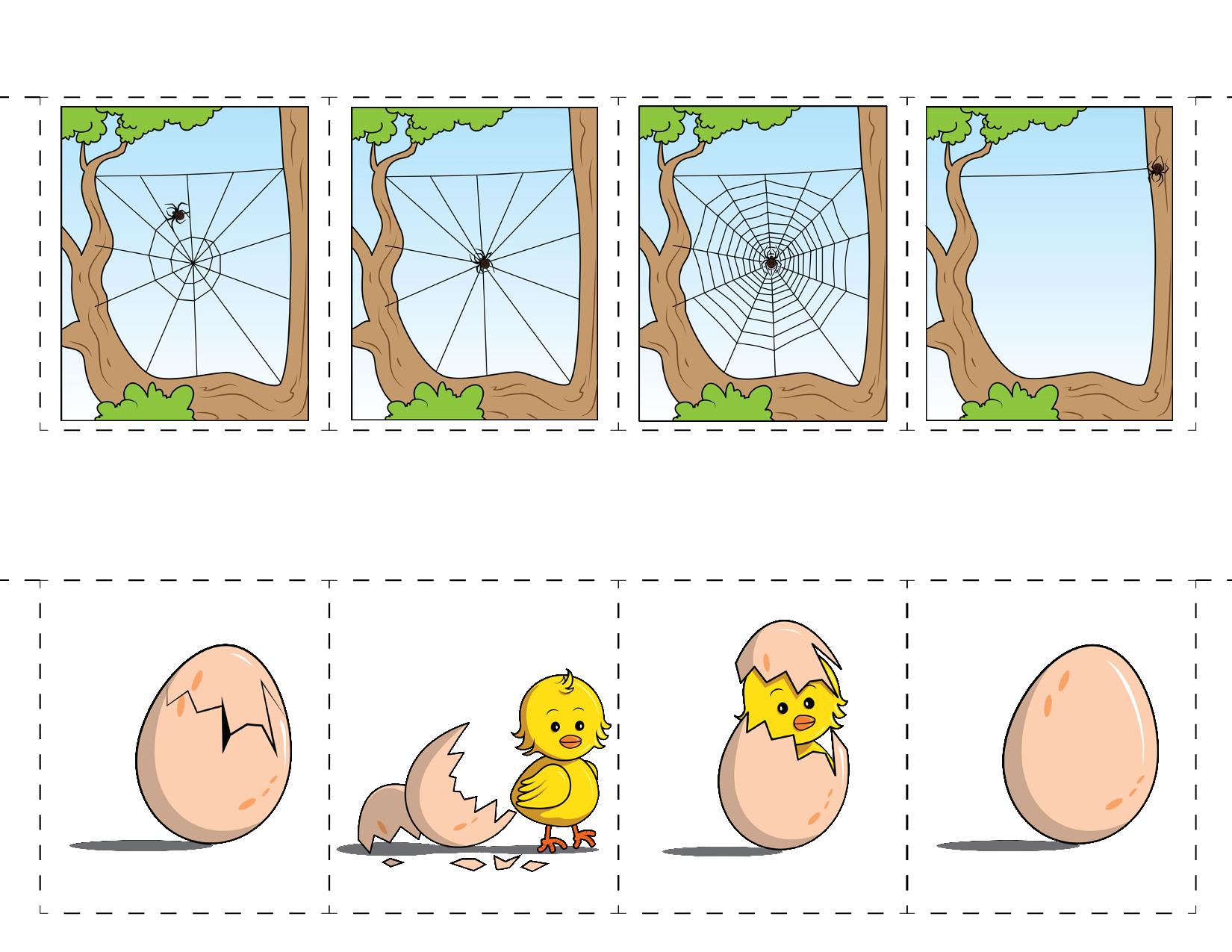 图片[3]-排序Sequencing，8页PDF-淘学学资料库