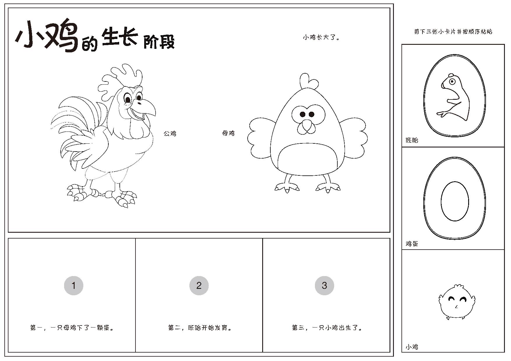 图片[2]-排序小书，26页pdf电子版-淘学学资料库