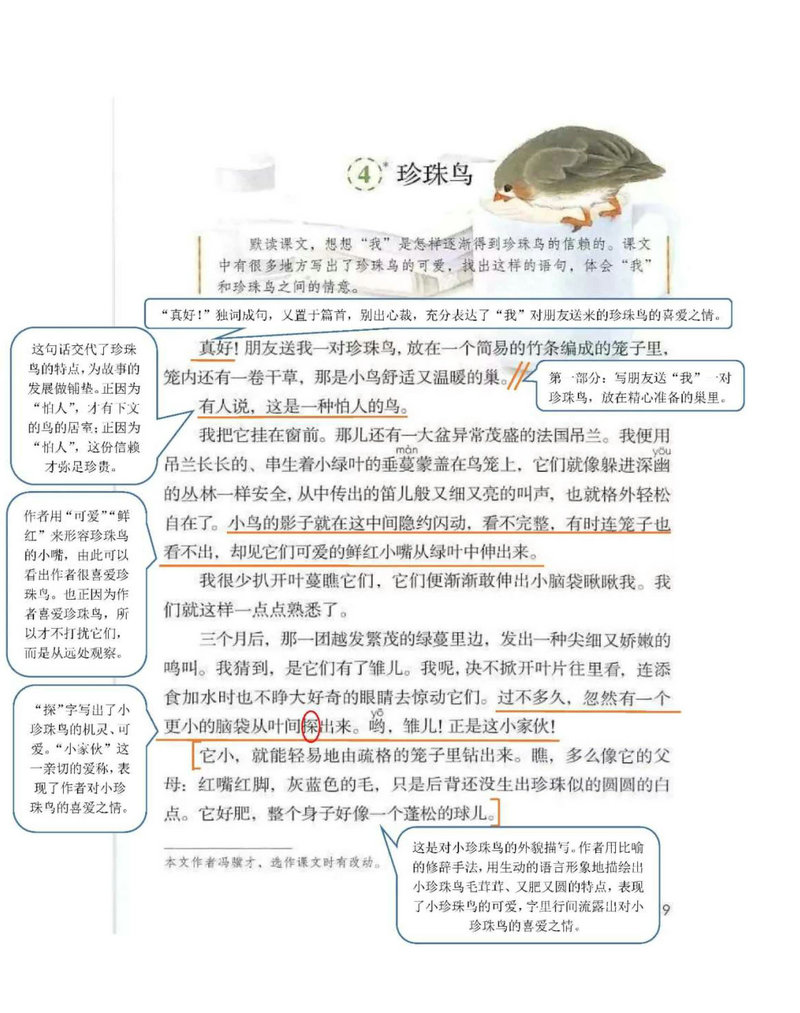 图片[1]-部编五年级语文上册课堂笔记（扫描件）-淘学学资料库